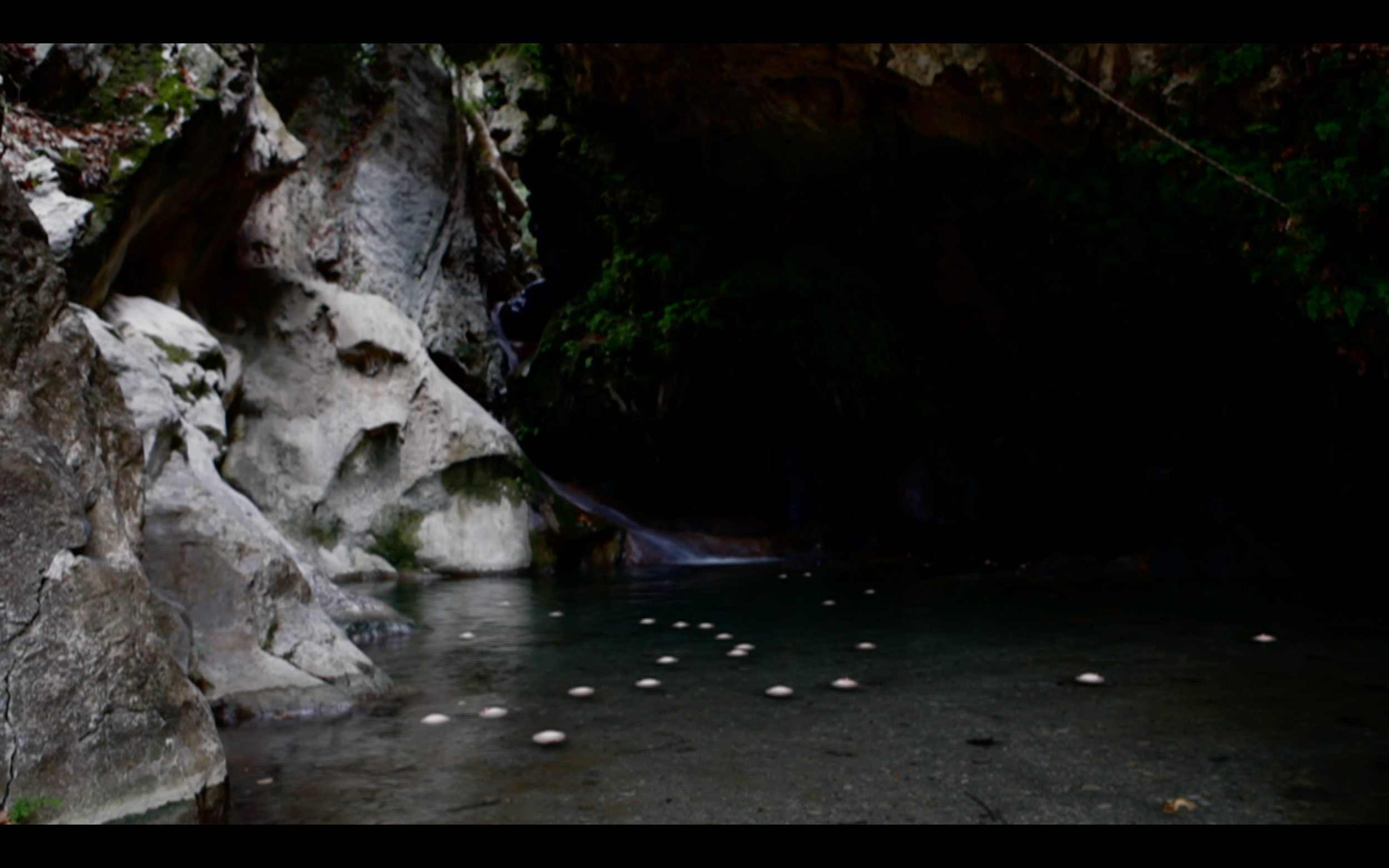 Screen Shot 2017-07-26 at 01.27.04.png