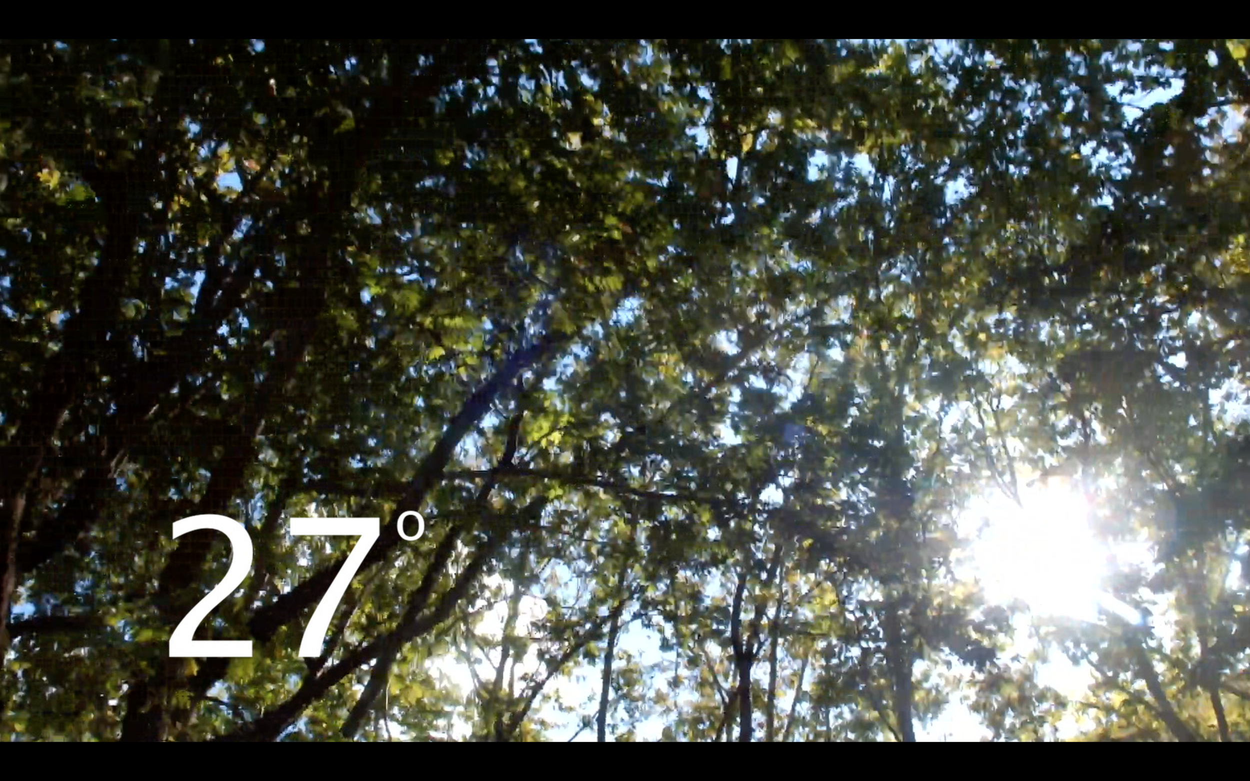 Screen Shot 2017-07-26 at 01.27.51.png