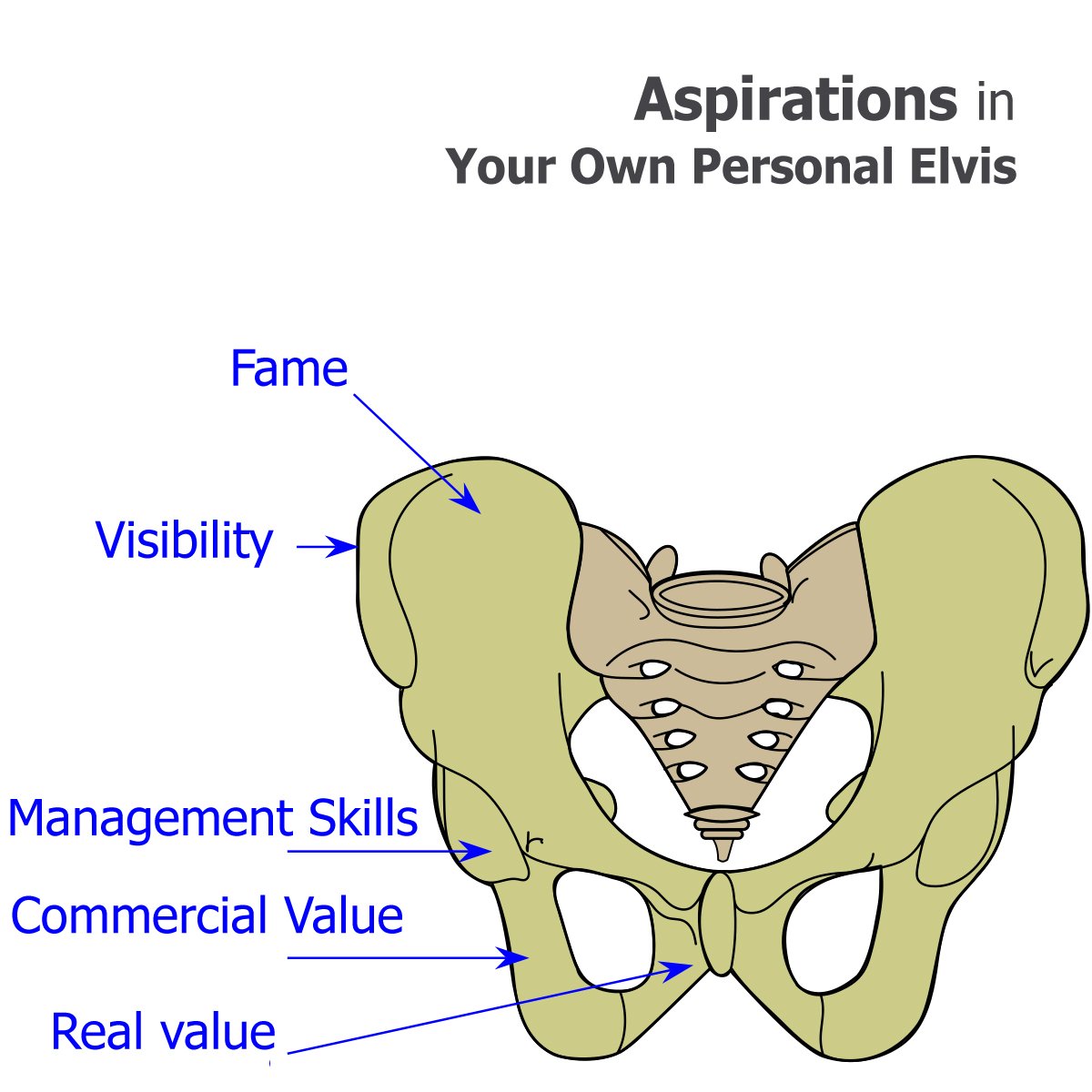 Pelvic_girdle_ MY illustration copy.jpg