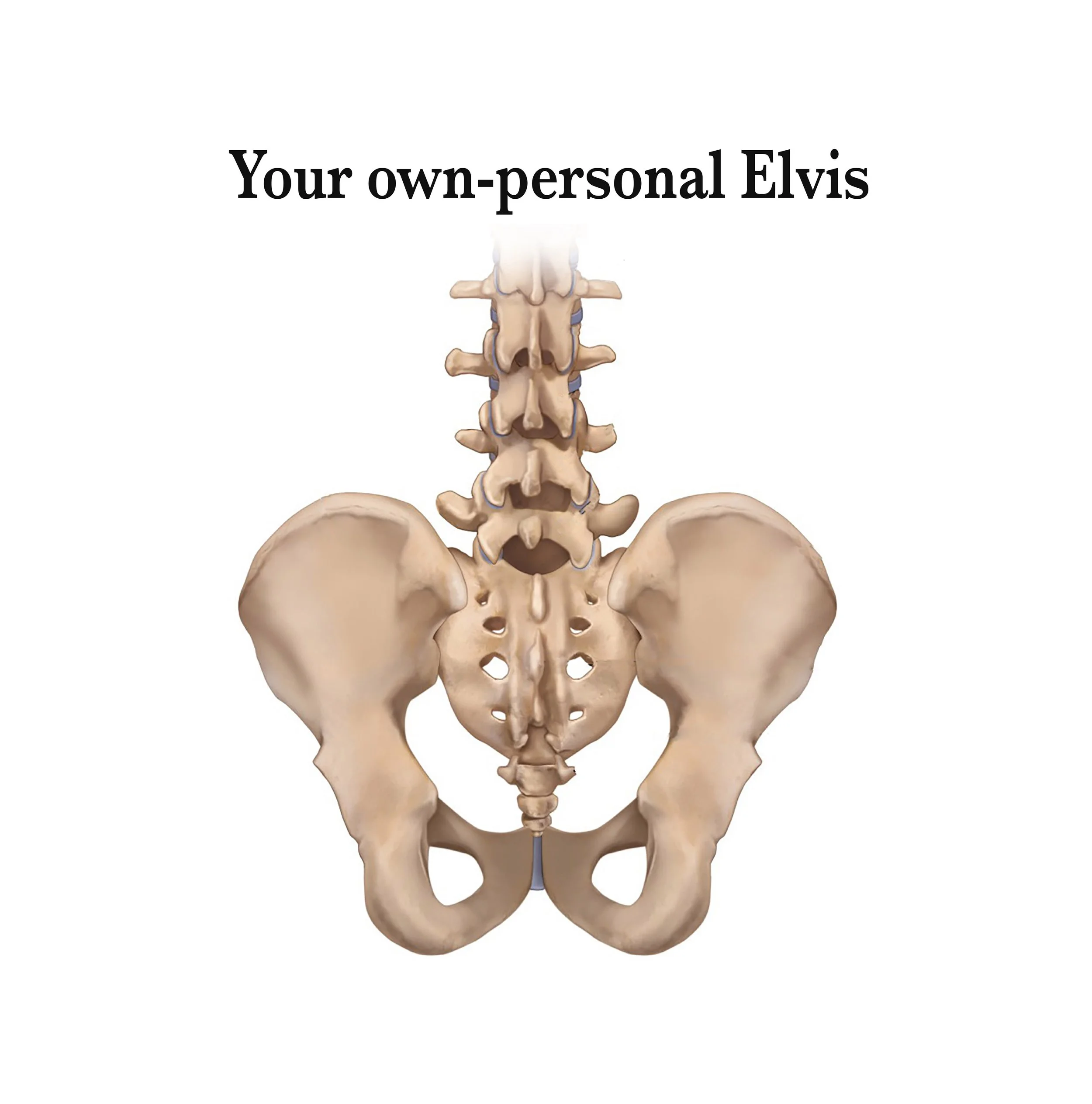 pelvis and spine ELVIS wide.jpg