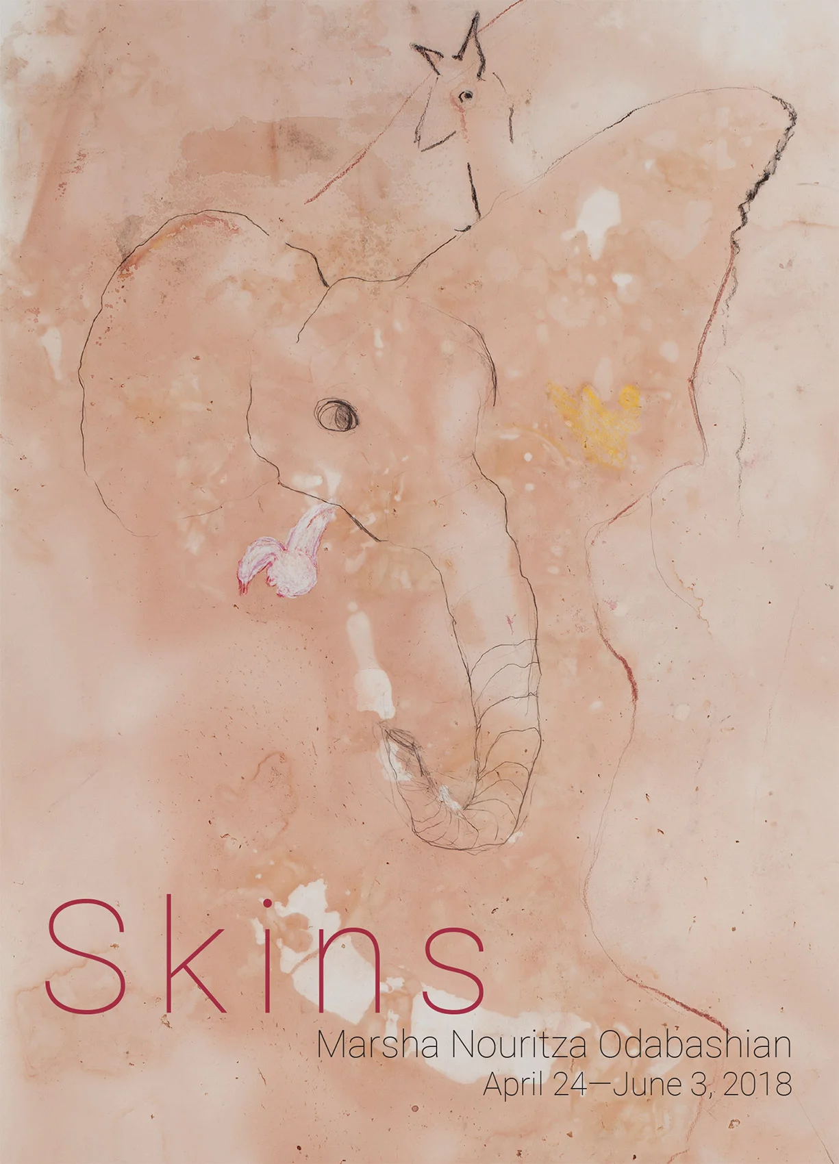 Skins-postcard-(back).jpg