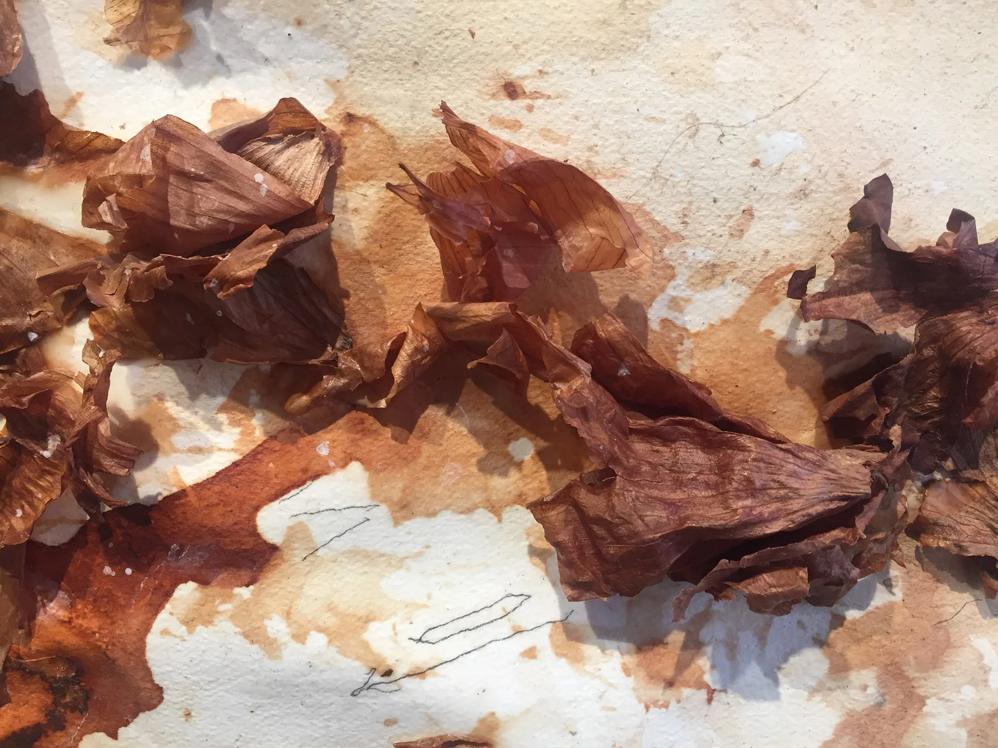 Detail from Altamira, Marsha Nouritza Odabashian, 2017.