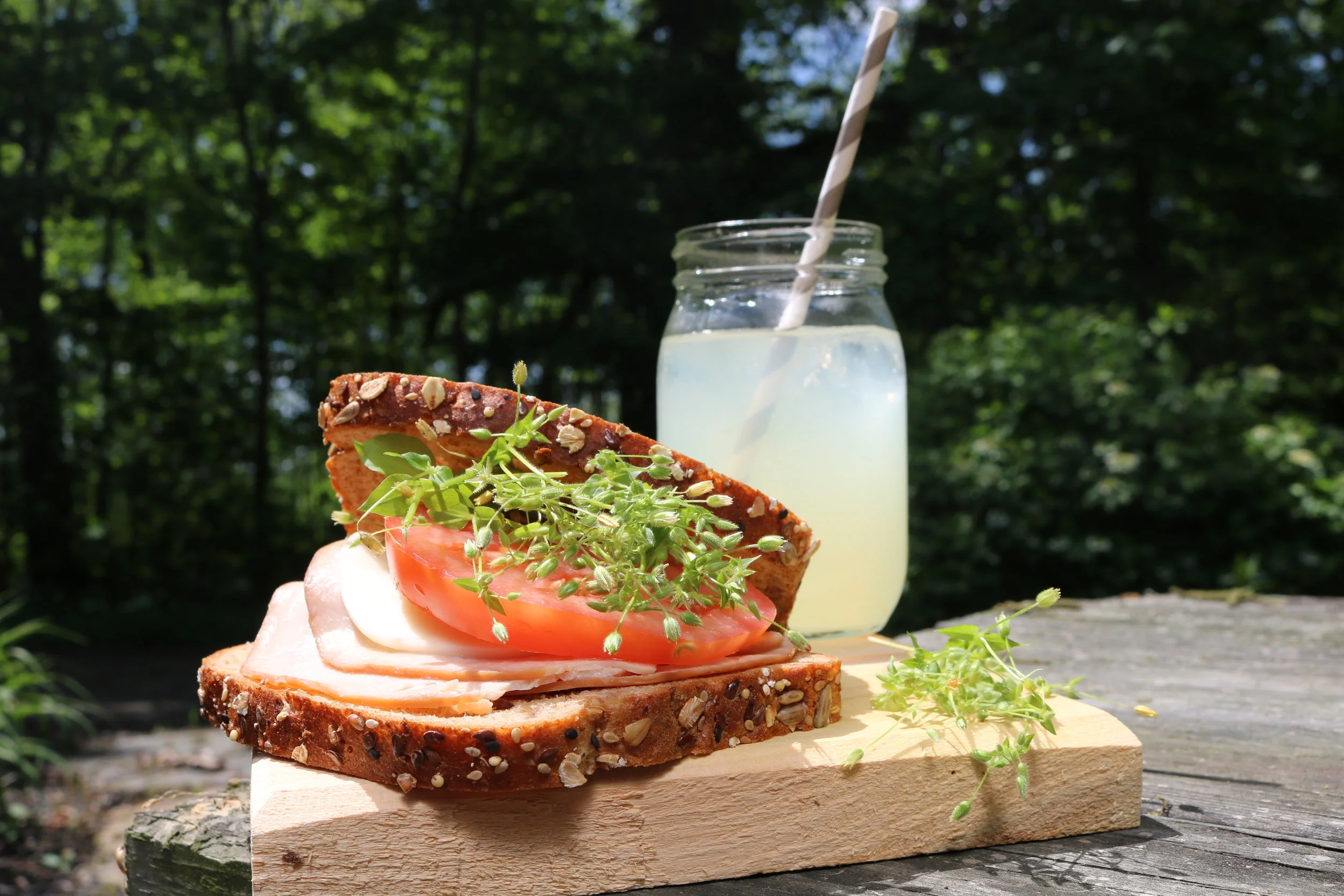 IMG_4869.JPG