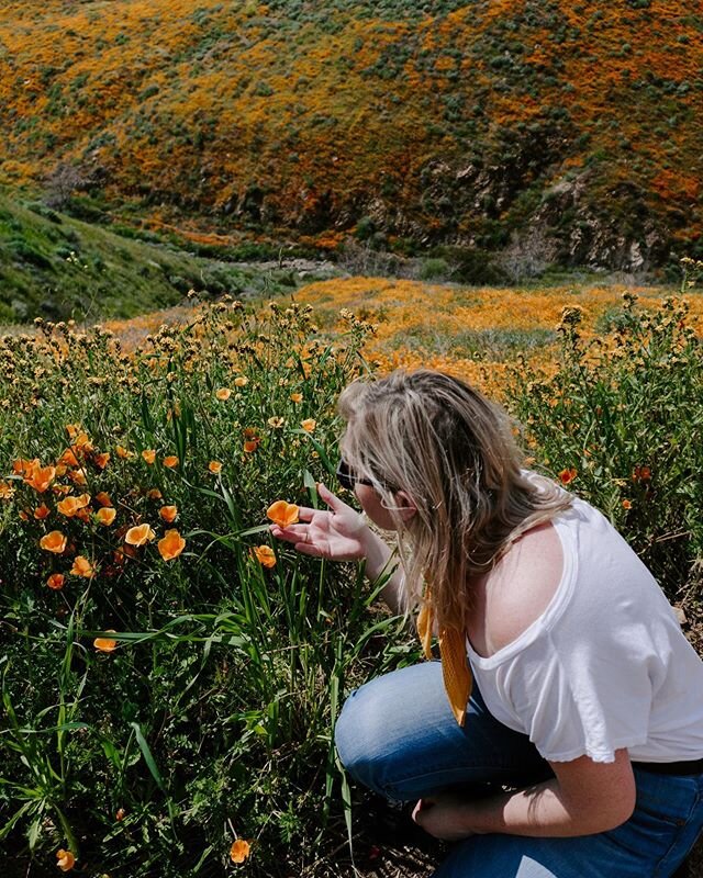 Happy first day of spring

Even though all of us are stuck in our house right now and we can still dream of frolicking through flower fields! That&rsquo;s one thing this virus can&rsquo;t take away from us, our dreams.
&mdash;&mdash; #travel #airplan