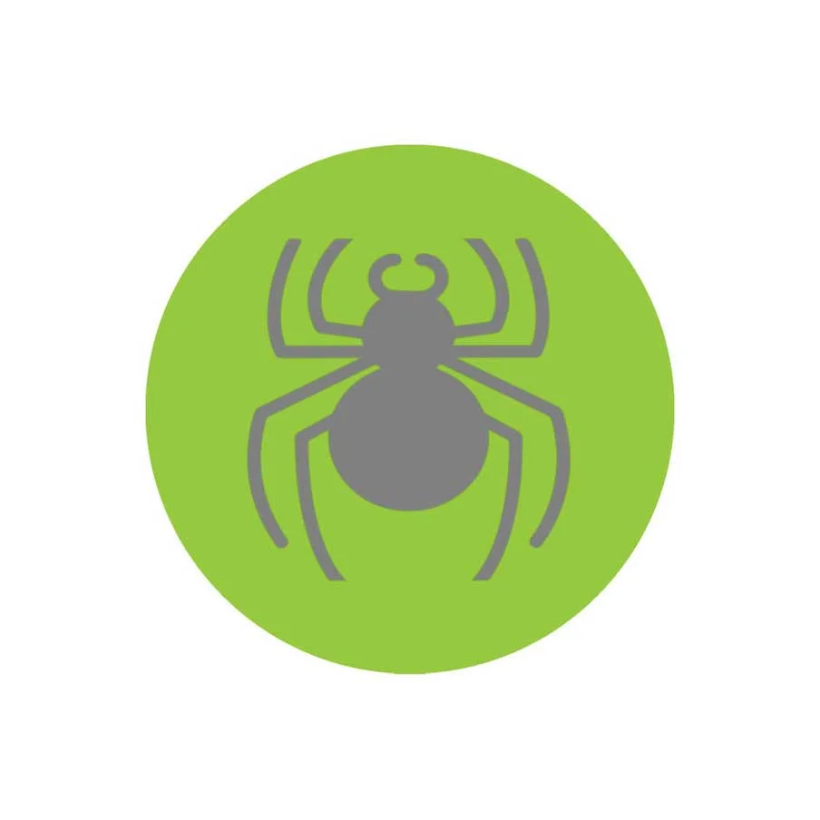 Spiders