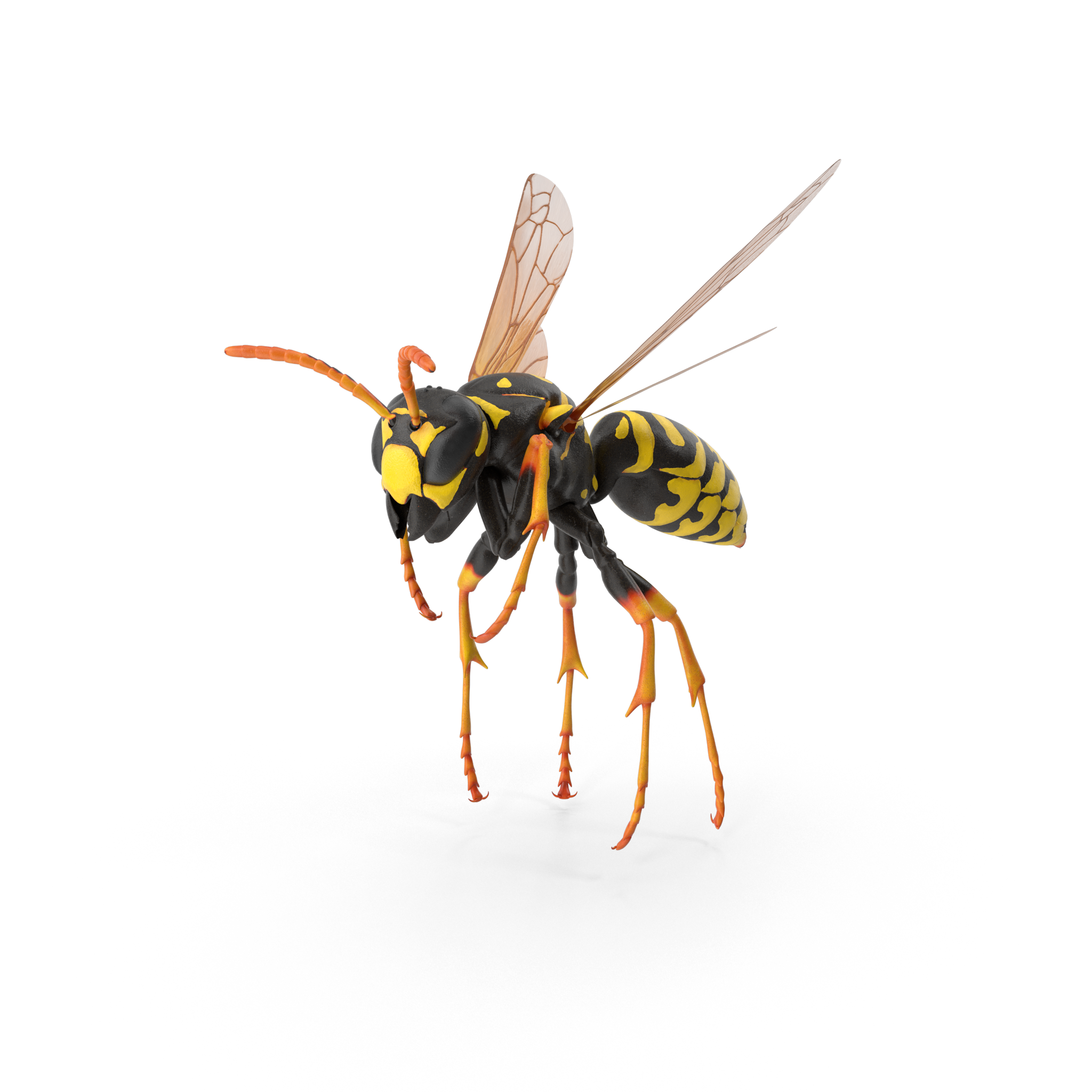 Paper WASP.H03.2K（2）.png