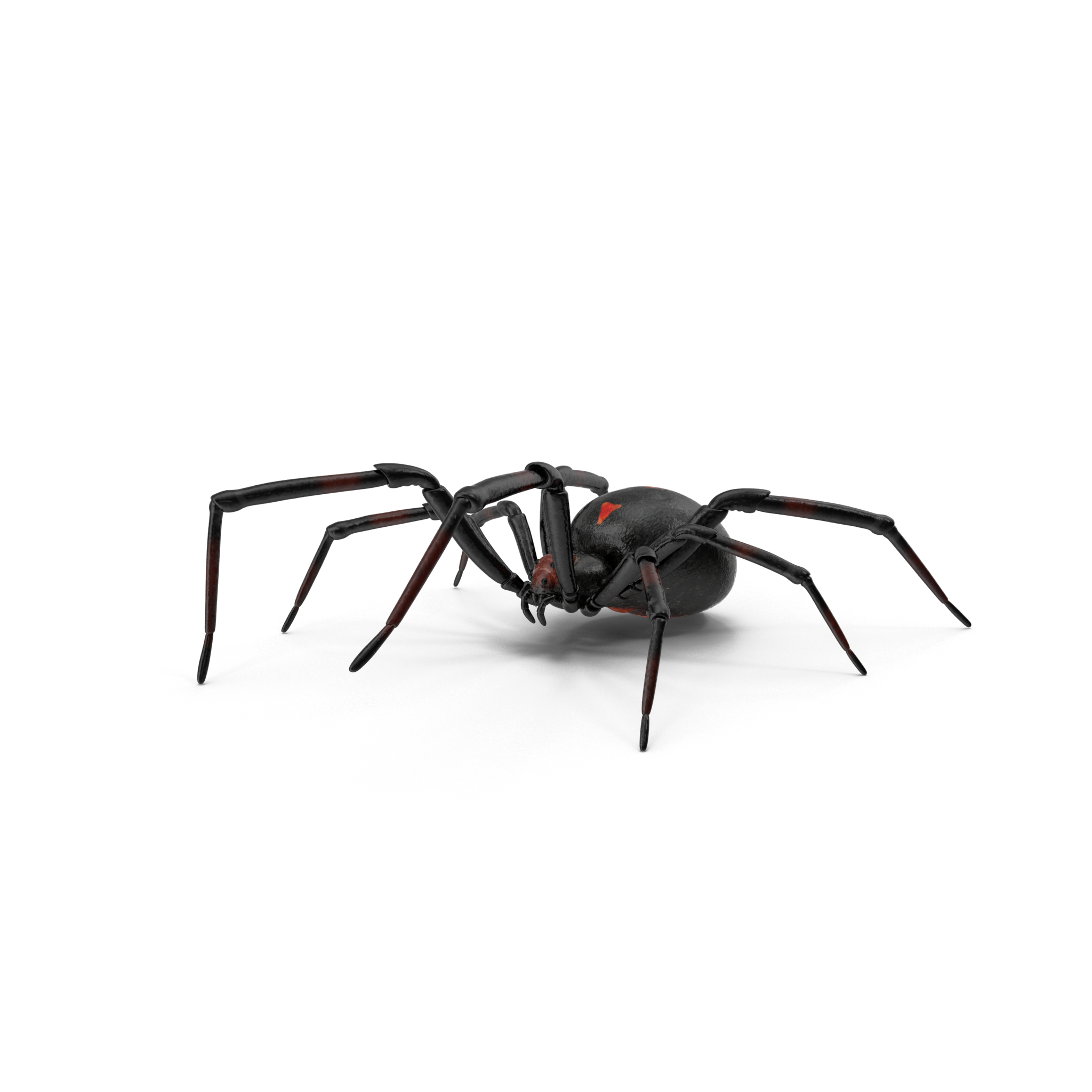 Pest Control Service Lawn Care In Orlando pest-control-service-lawn-care-in-orlando