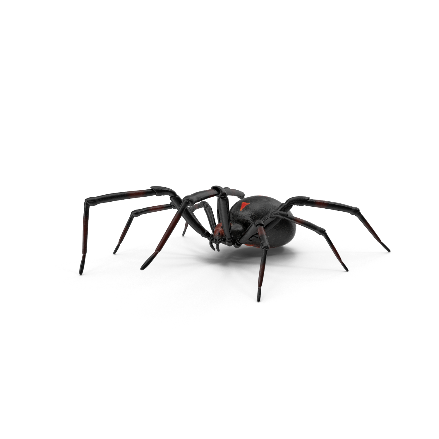 pest-control-service-lawn-care-in-orlando