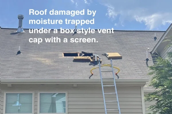 dvw-blog-a-picture-of-a-roof-damaged-by-moisture-trapped-under-a-box-style-vent-screen-with-a-cap-600.webp