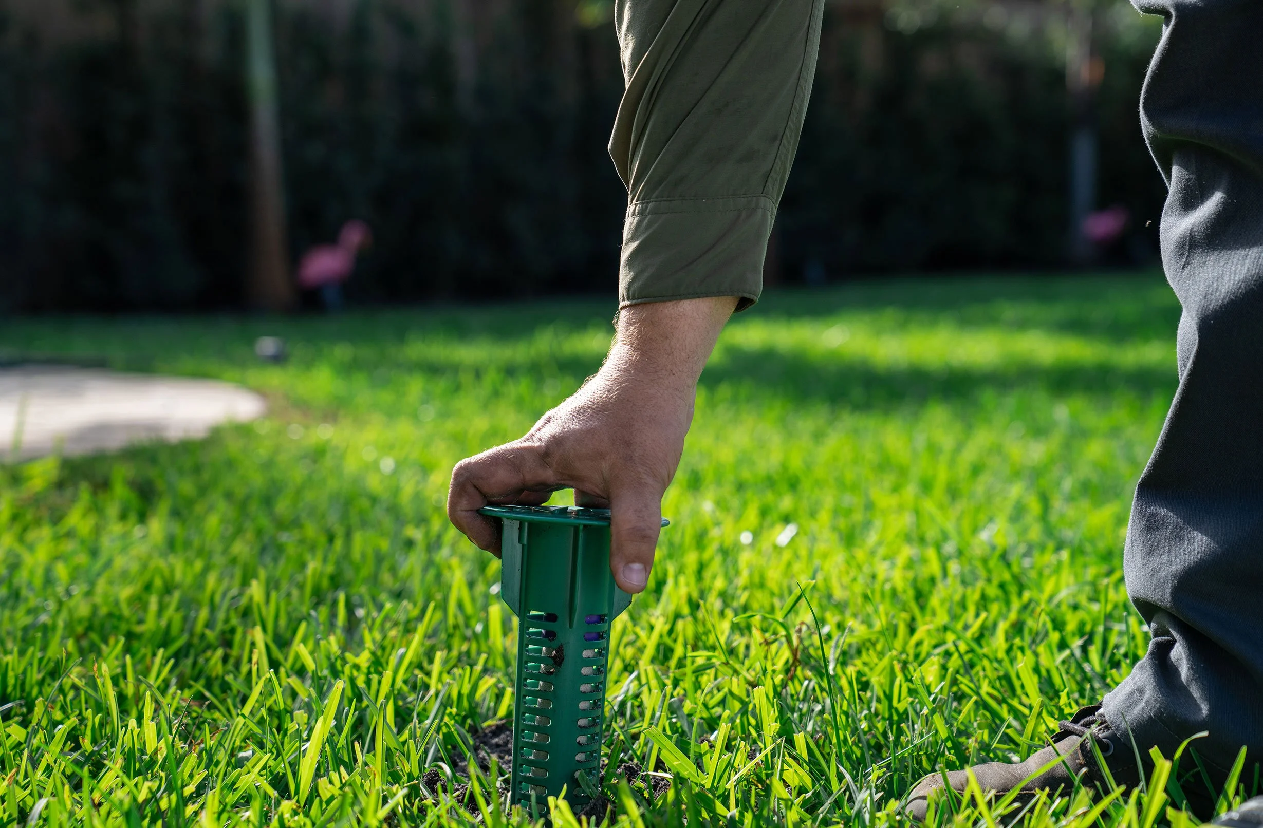 Technician installing a Sentricon bait station