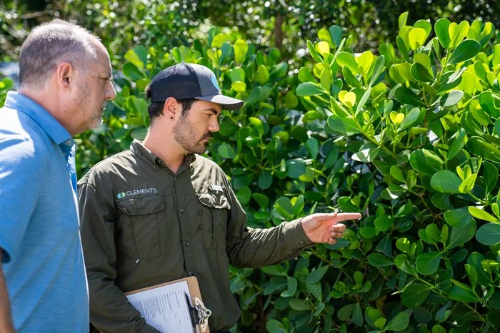 Pest Control technician and homeowner looking at mosquito harborage