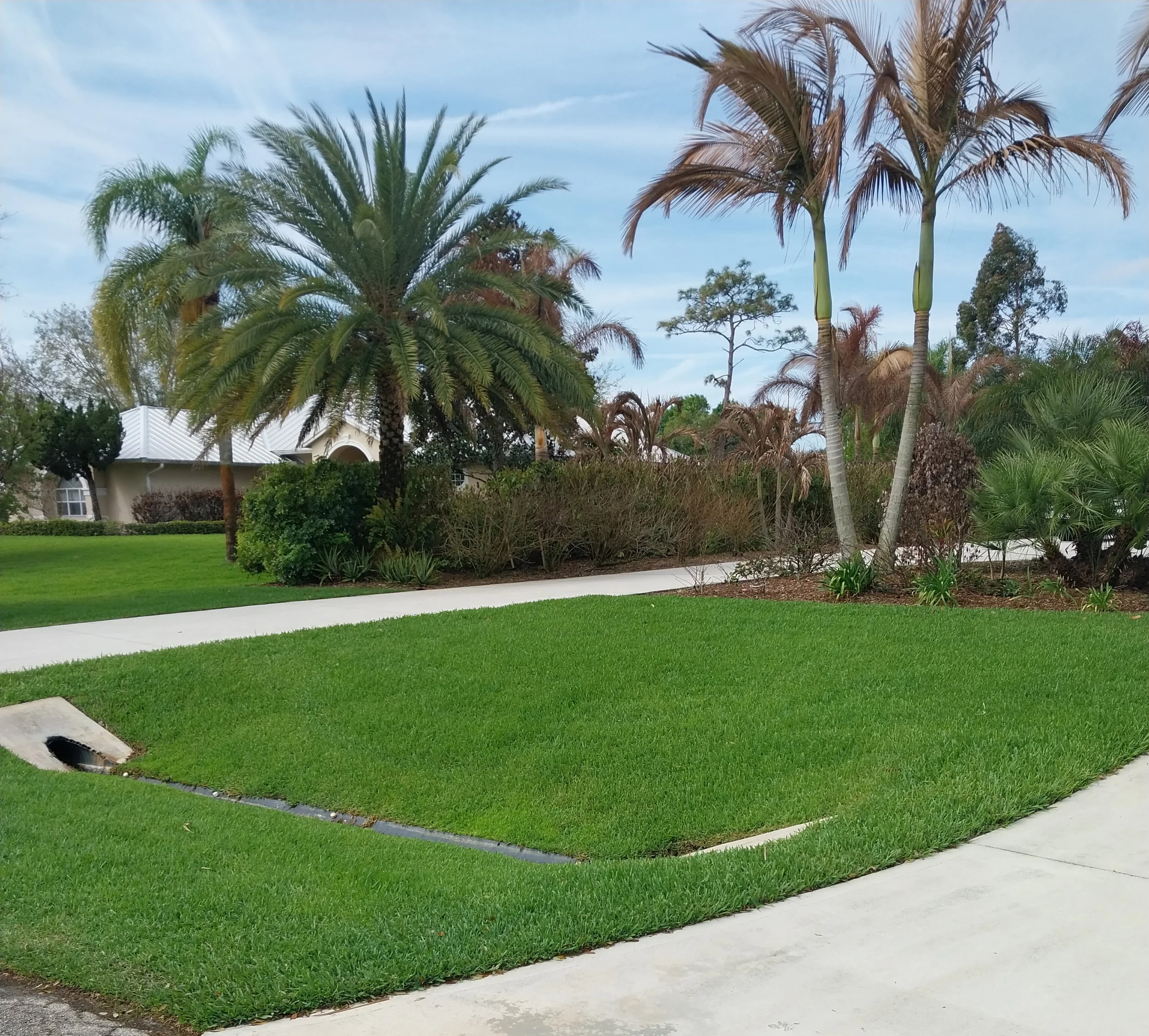 vero-beach-lawn-care-clements-pest-control-2-cropped.jpg