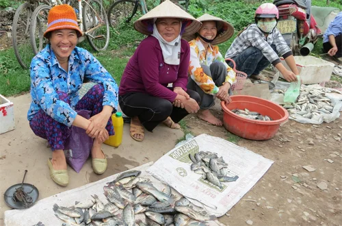 gv-fish.jpg