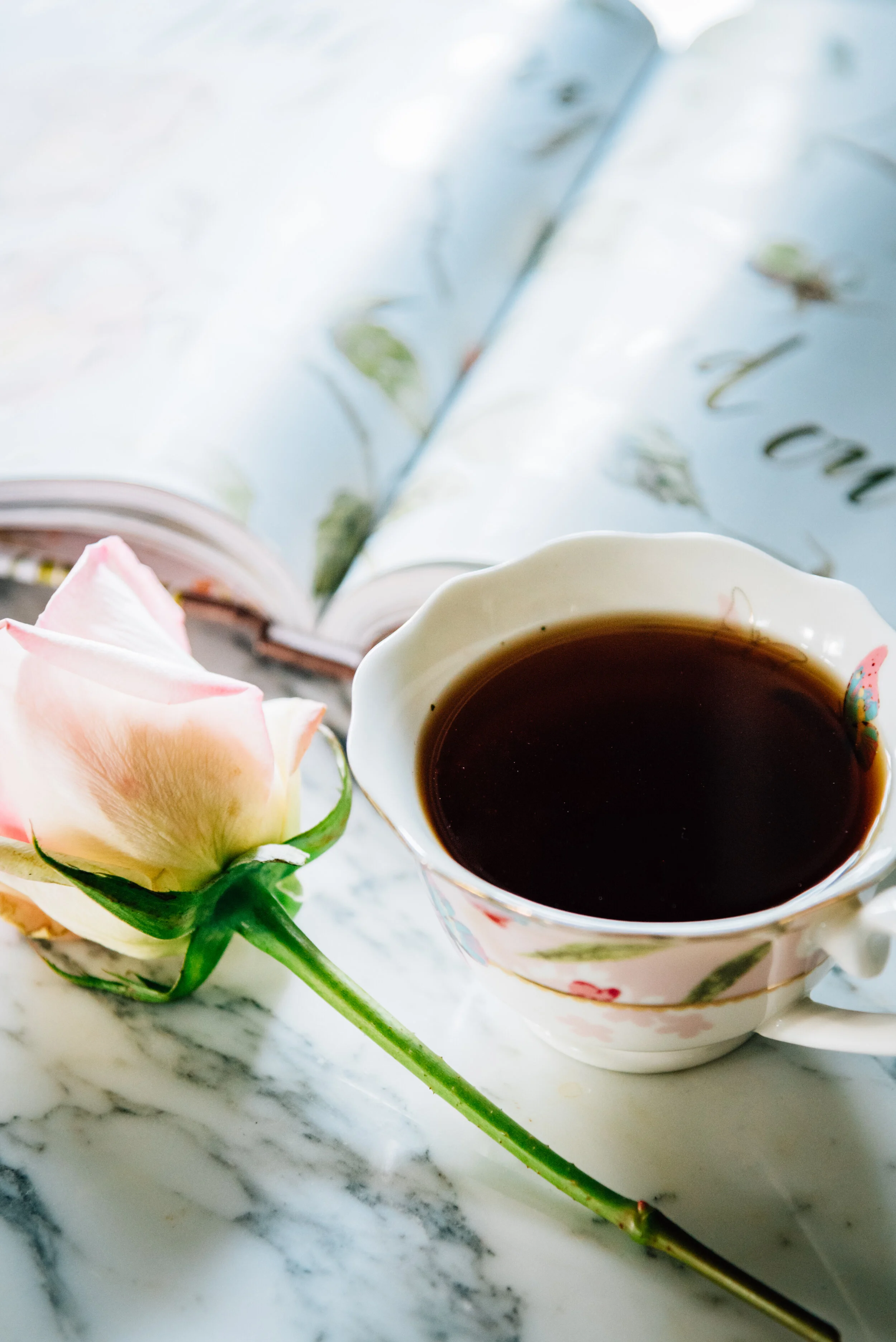 FK Tea Photo Shoot-56.jpg