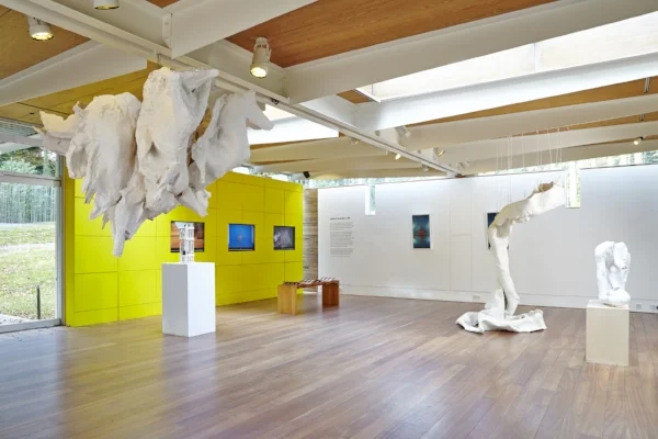 Juliana Cerqueira Leite , 2014, Installation view, Cass Sculpture Foundation, Sussex, U.K.
