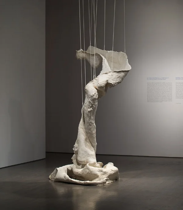 The Climb is Also The Fall , 2011 Silicone, fiberglass, polymorph plastic, string 91 x 42 x 51 inches