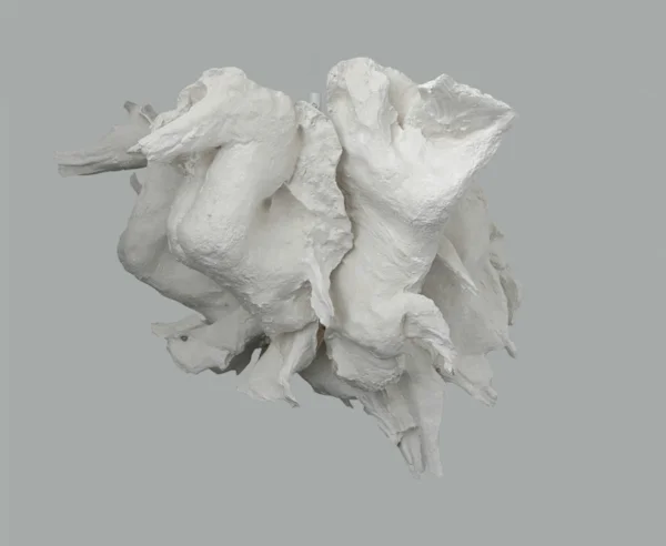 Into (Fat) , 2011 Aquaresin, fiberglass, wax, white pigment 45 x 60 x 67 inches