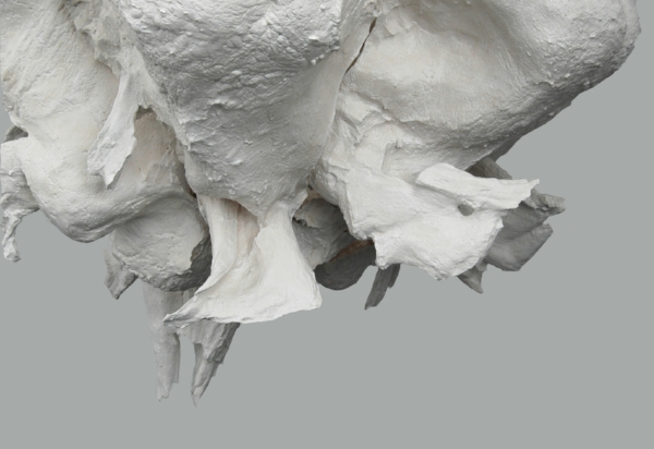Into (Fat), 2011, detail