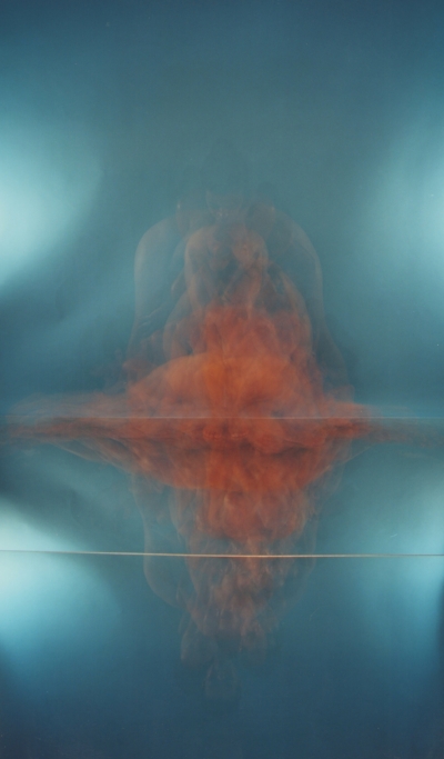 Multiplied #2 , 2012 C-type print mounted on archival board 43 x 79 x 2.5 cms