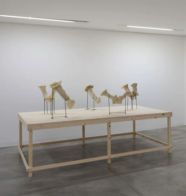 Amphorae , 2013, installation view, Posicional / Positional , 2013, Casa Triângulo, São Paulo, Brazil