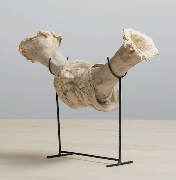 Amphorae , 2013