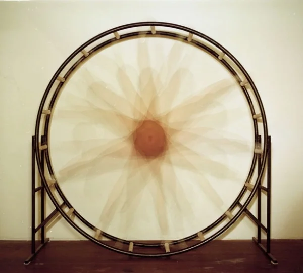 The Singularity I, 2009 C-print 88 x 88 inches