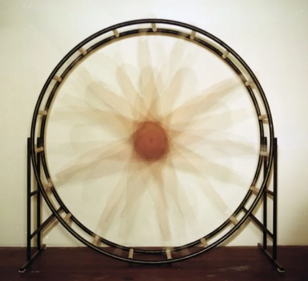 The Singularity I, 2009 C-print 88 x 88 inches