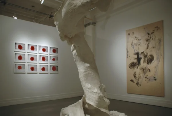The Climb is Also The Fall, 2011, installation view, A.I.R. Gallery, New York, USA