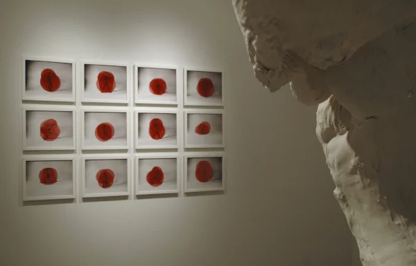 The Climb is Also The Fall , 2011, installation view, A.I.R. Gallery, New York, USA