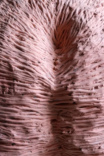 Blind Spot 2 , 2015, detail