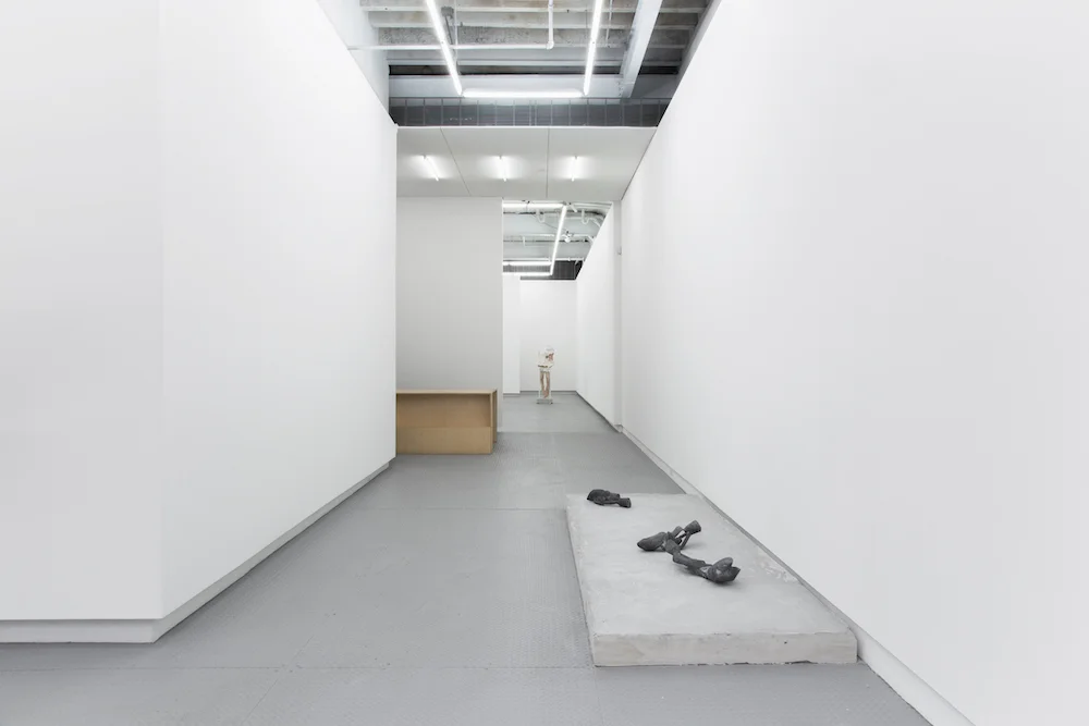 UNTIL DIFFERENT, 2018, Exhibition View
