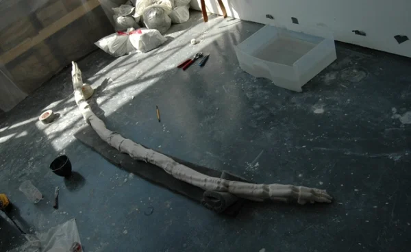 studio_sinew_02.jpg