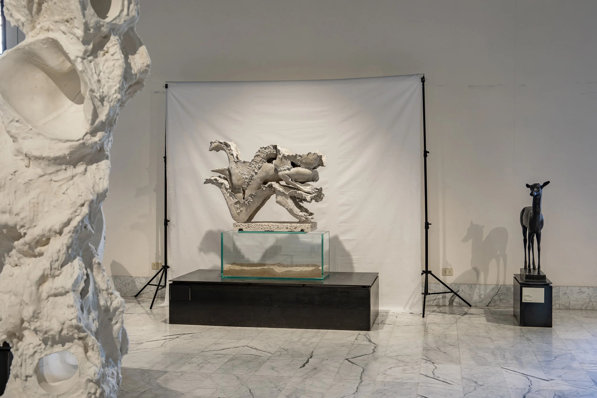 Calcify Aquaresin, hydrocal, steel, glass, limestone sand, glass fiber, pigment, clay 140 x 45 x 100 cm 2019
