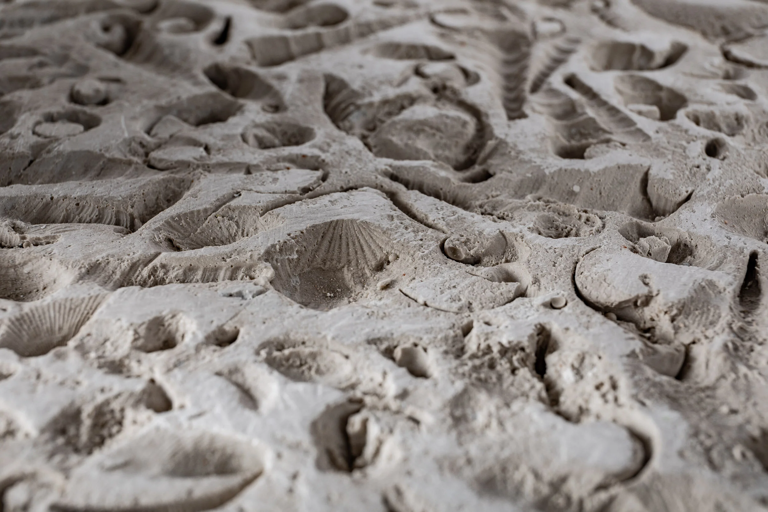 Calcify (detail) Aquaresin, hydrocal, steel, glass, limestone sand, glass fiber, pigment, clay 140 x 45 x 100 cm 2019