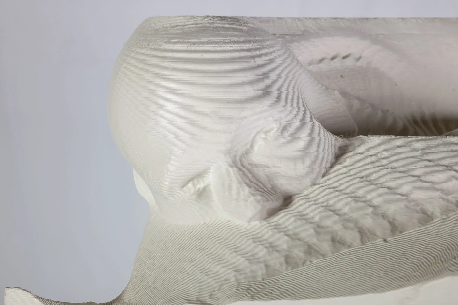 Species Specific_005 (fight) 3D printed PLA, supports 112 x 50 x 90 cm 2019