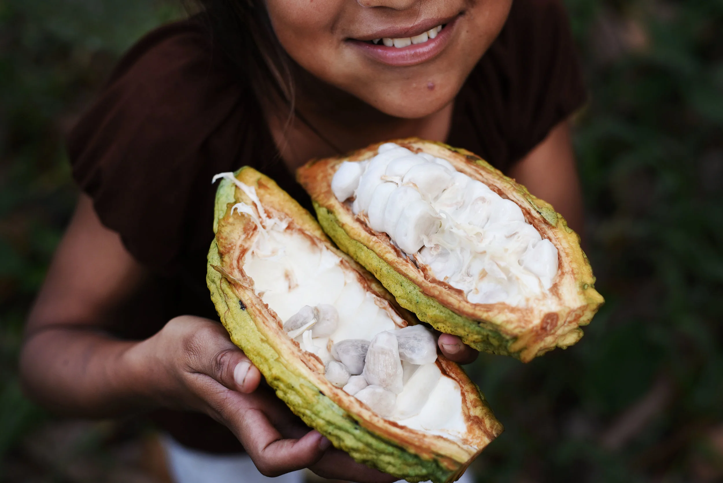 Cacao