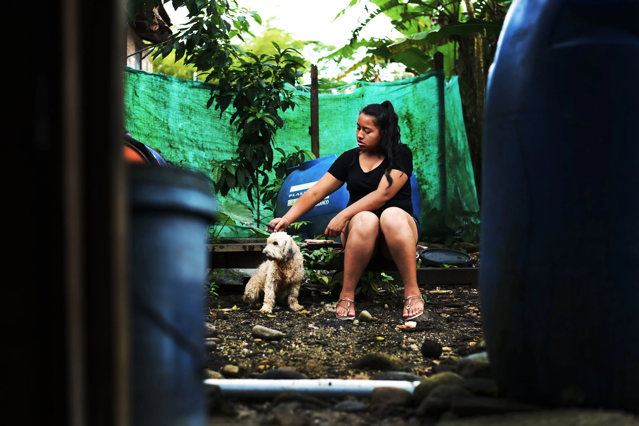 Jocelyn Cortando el Pelo de su Perro//Jocelyn Cutting her Dog's Hair