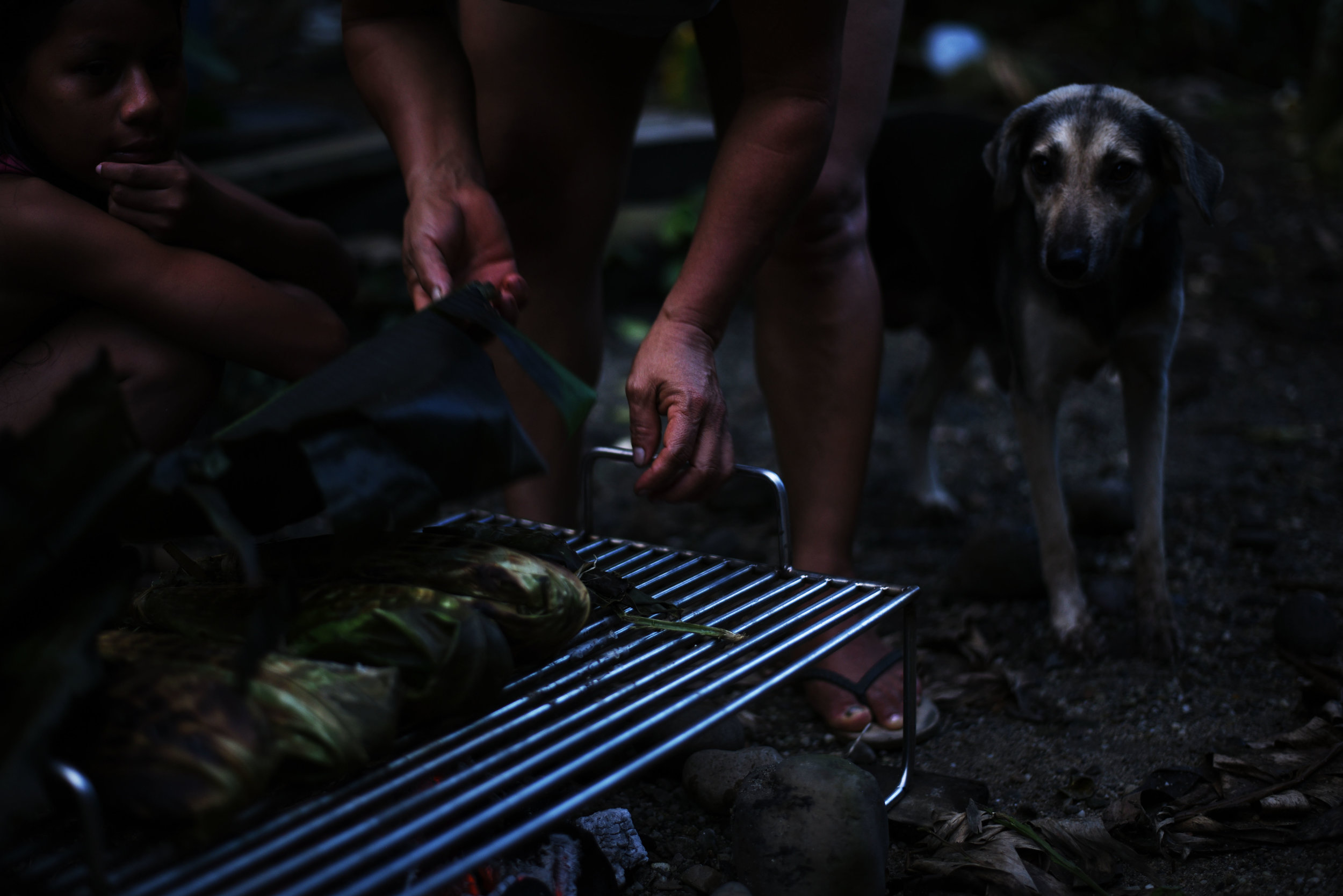 La Cena en La Amazonia//Dinner in the Amazon