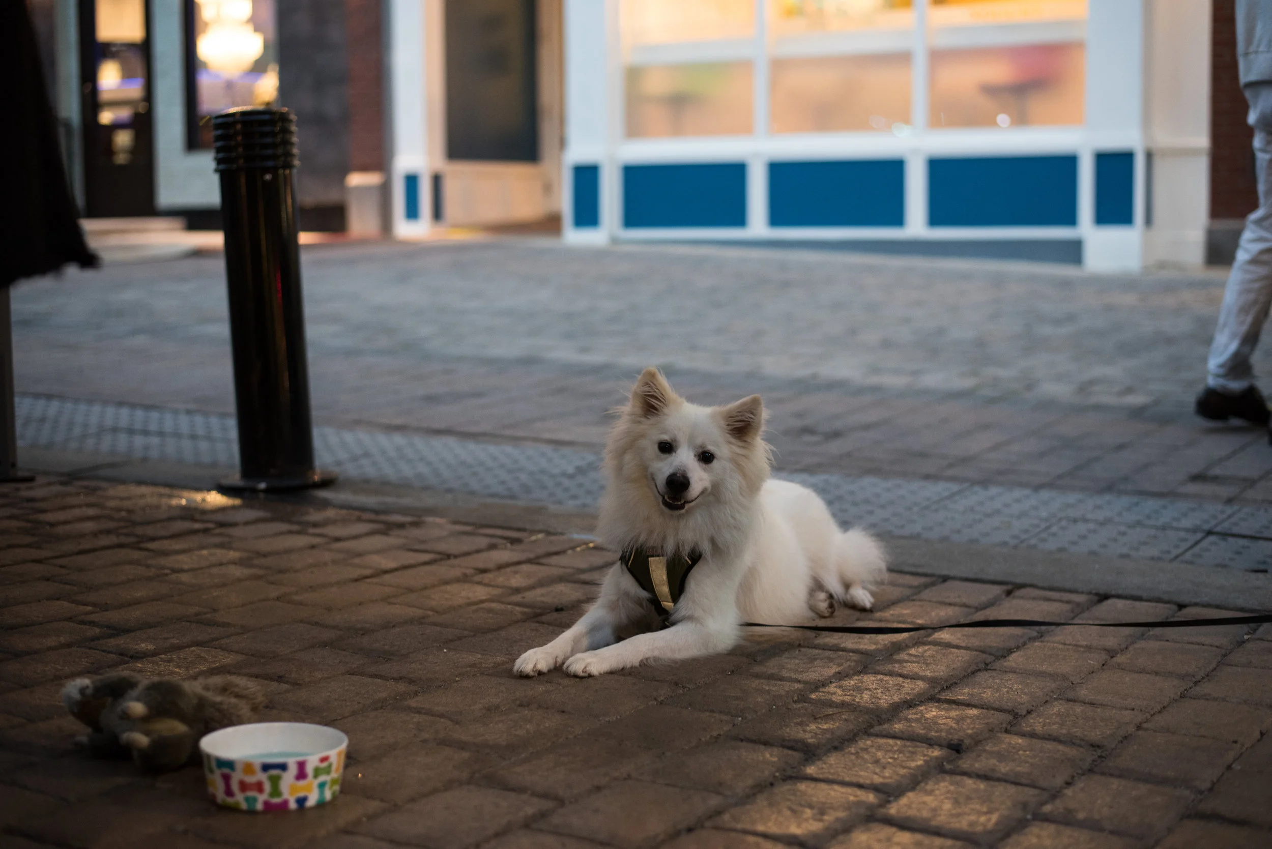 DSC_2304.jpg