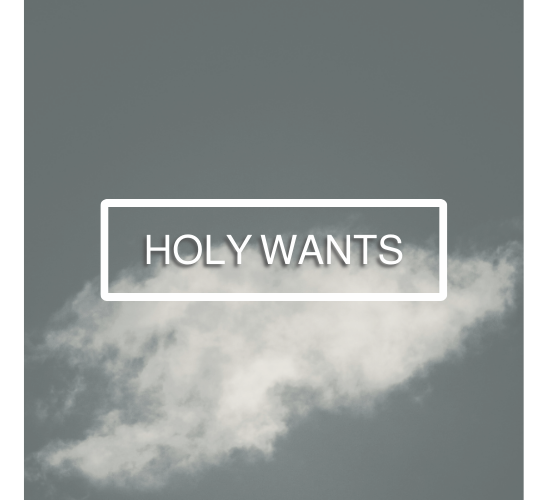 Holy Wants