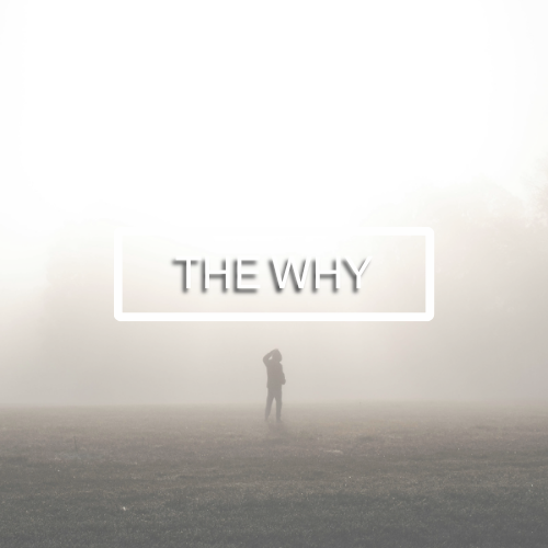 The Why