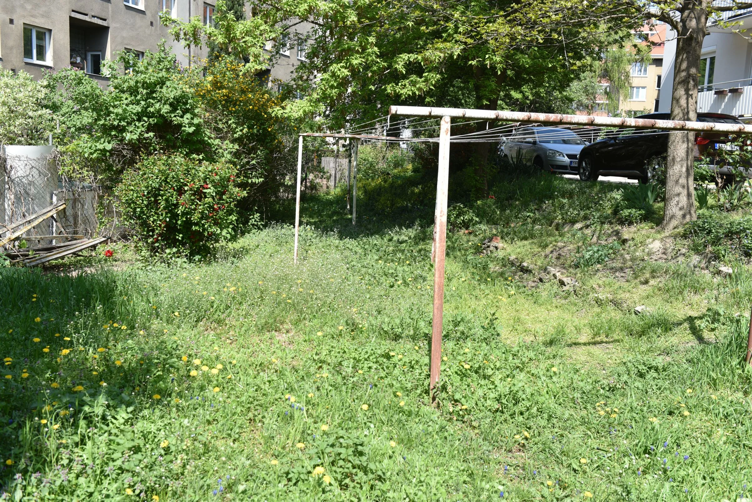 DSC_3832.JPG