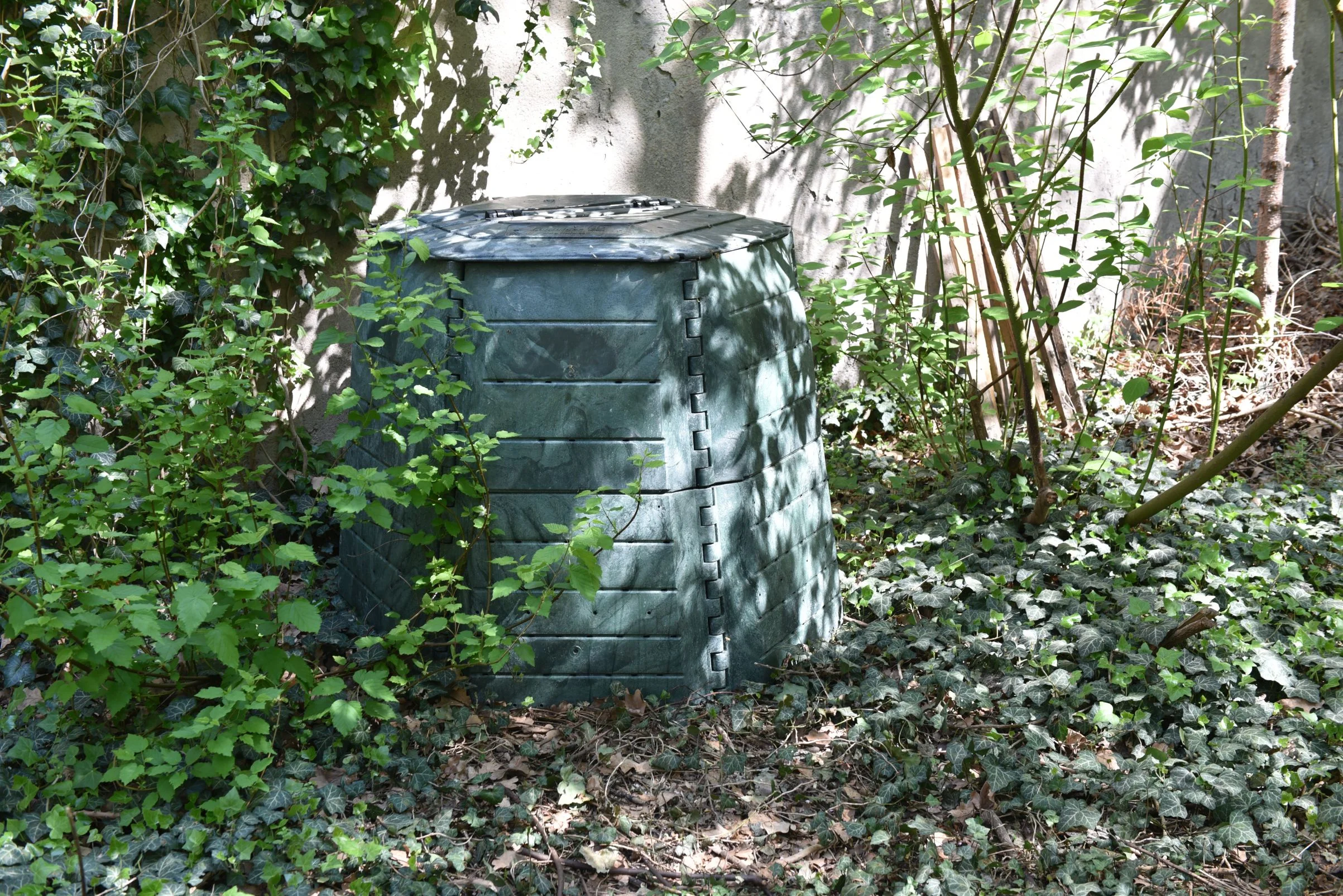 DSC_3773.JPG