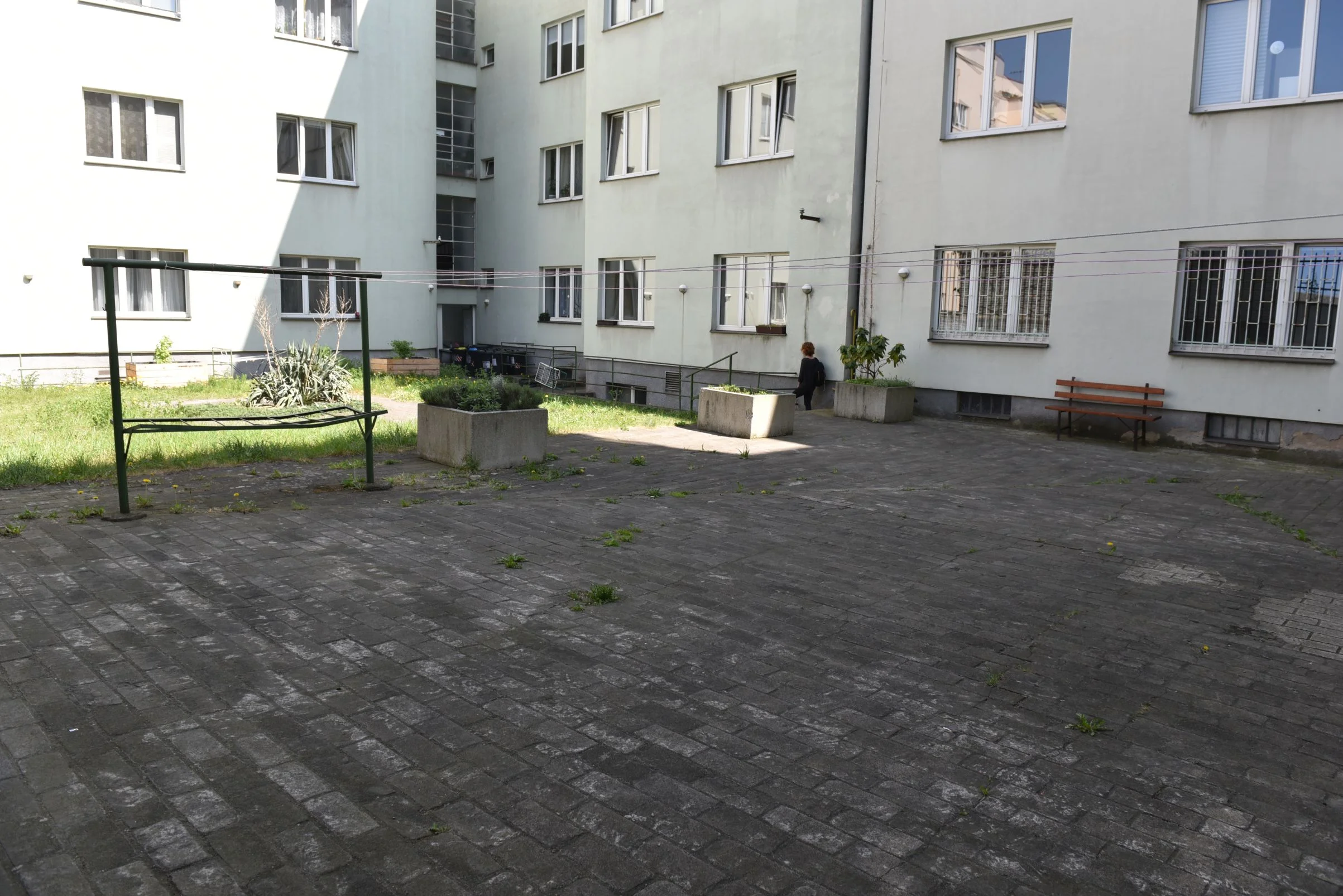 DSC_3883.JPG