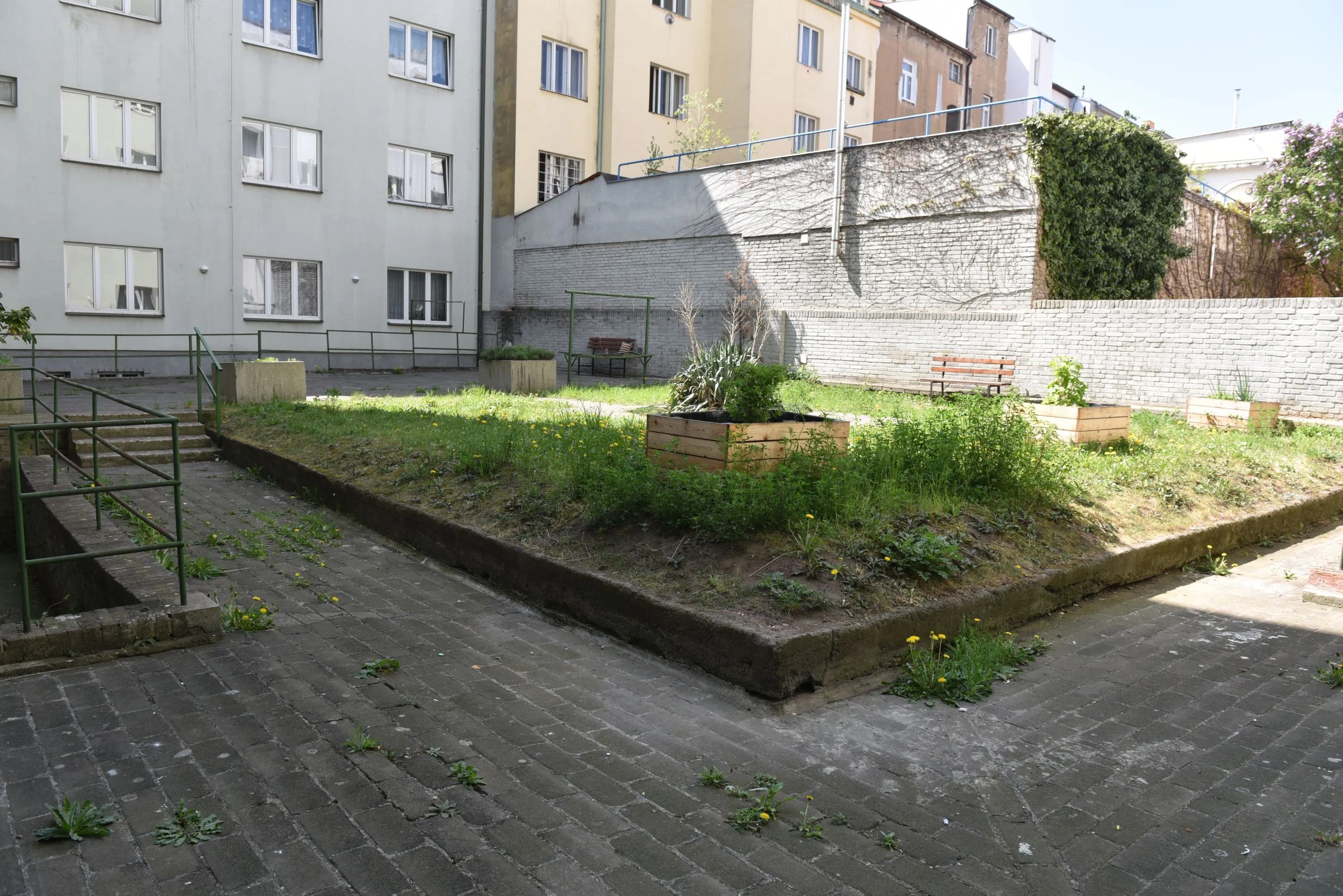 DSC_3885.JPG