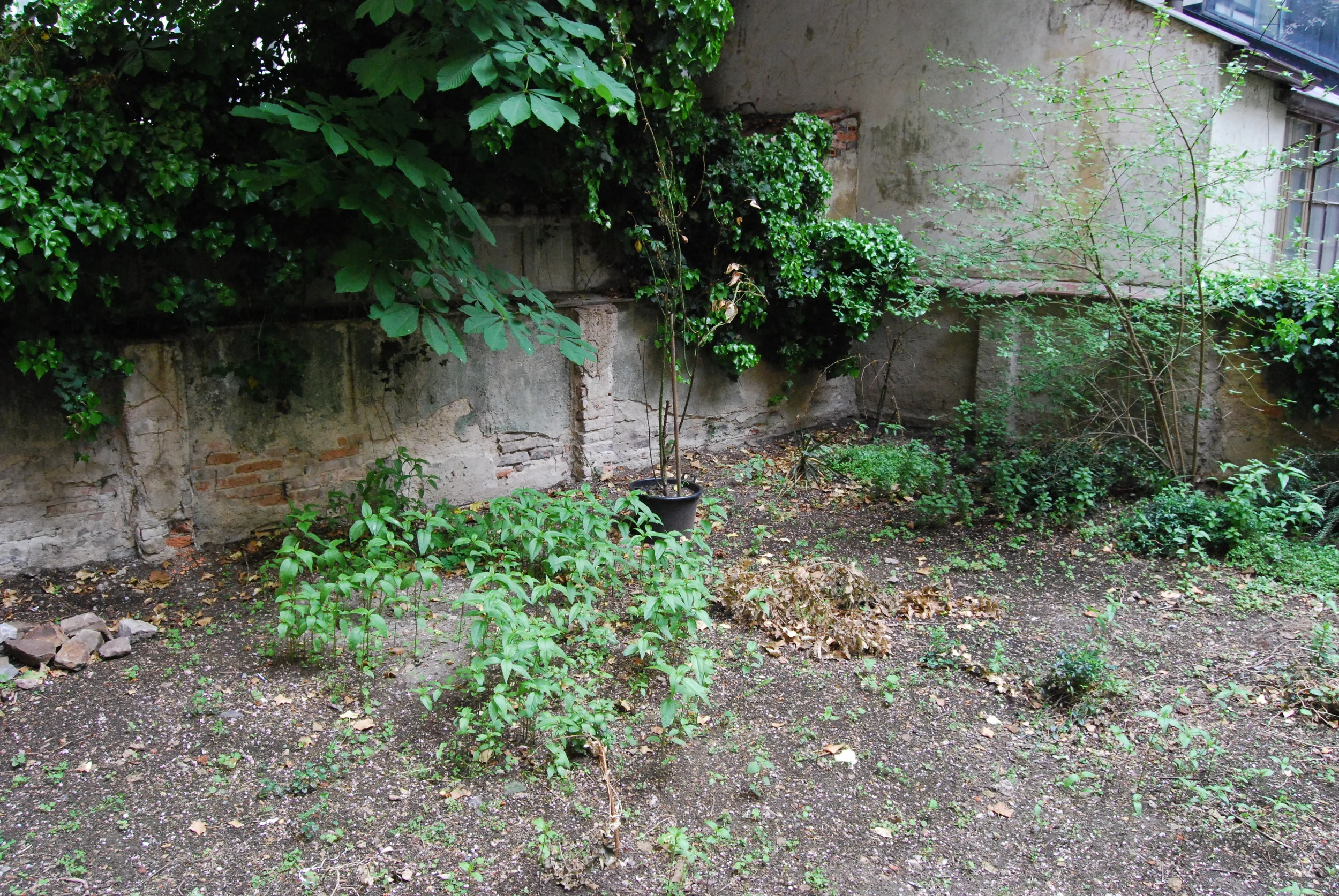 DSC_4378.JPG