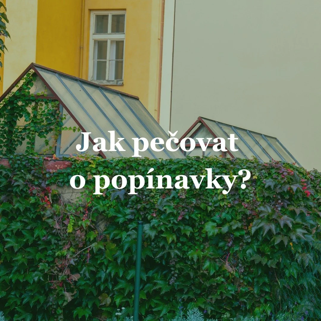 &Uacute;držba pop&iacute;navek? To je hračka!💧

Stač&iacute; jim trochu vody, slun&iacute;čka a trochu l&aacute;sky a ony se postaraj&iacute; o to, aby nejen va&scaron;e zahrada vypadala jako z poh&aacute;dky. A když v&aacute;m někde začnou trochu p
