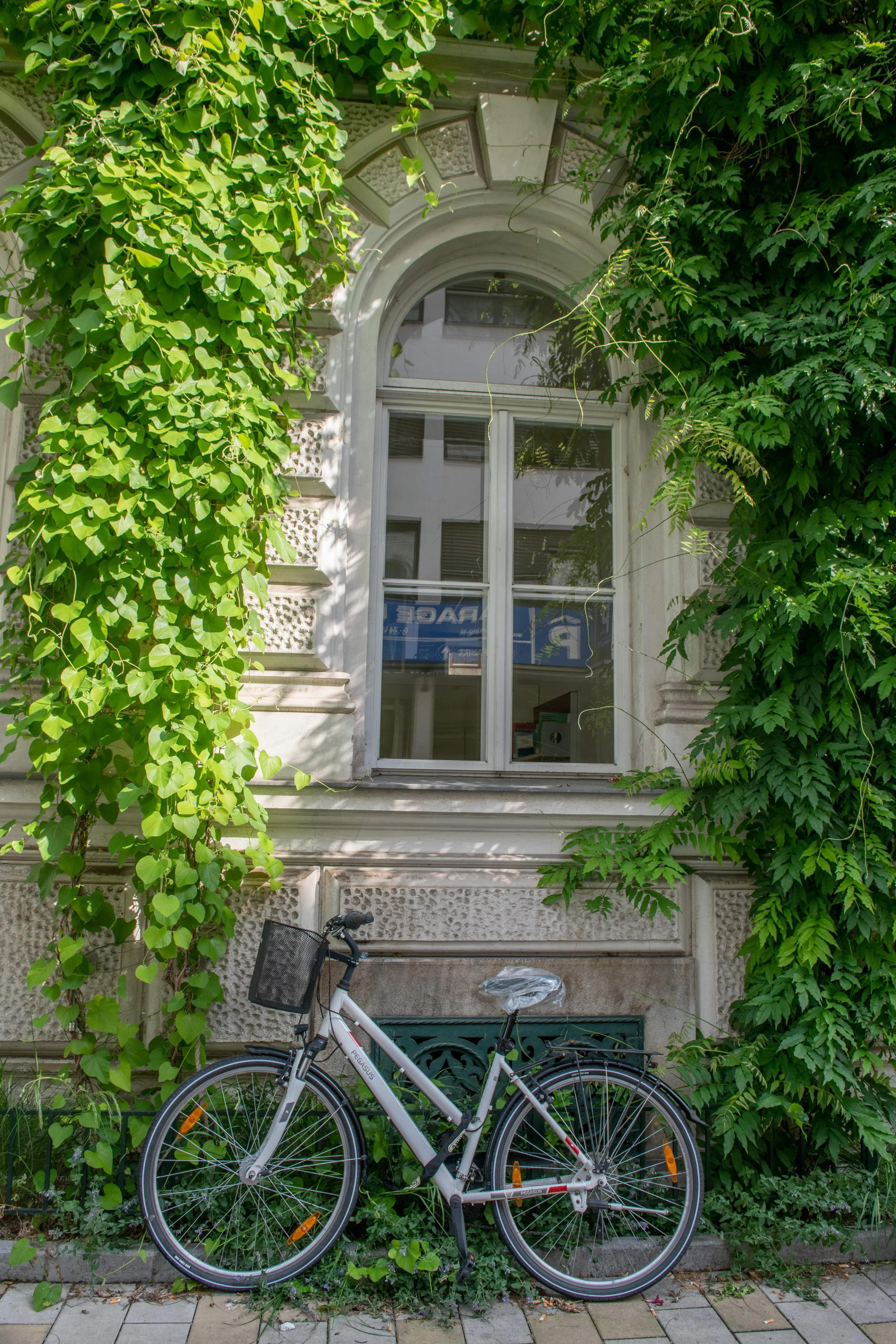 180.jpg