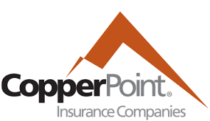 Pro Sponsor