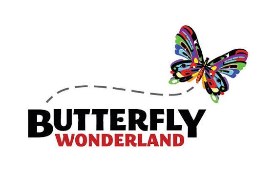 Butterfly.jpg